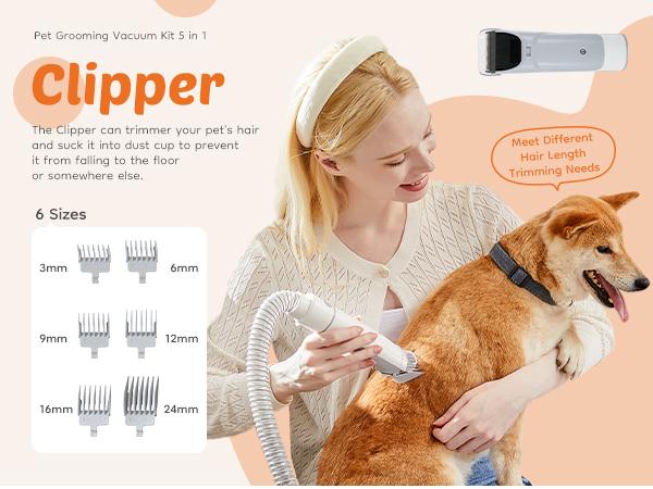 Professional Pet Grooming Vacuum Kit with Cordless Low Noise Dog Clippers and 5 Groomer Tools for Cats and Dogs