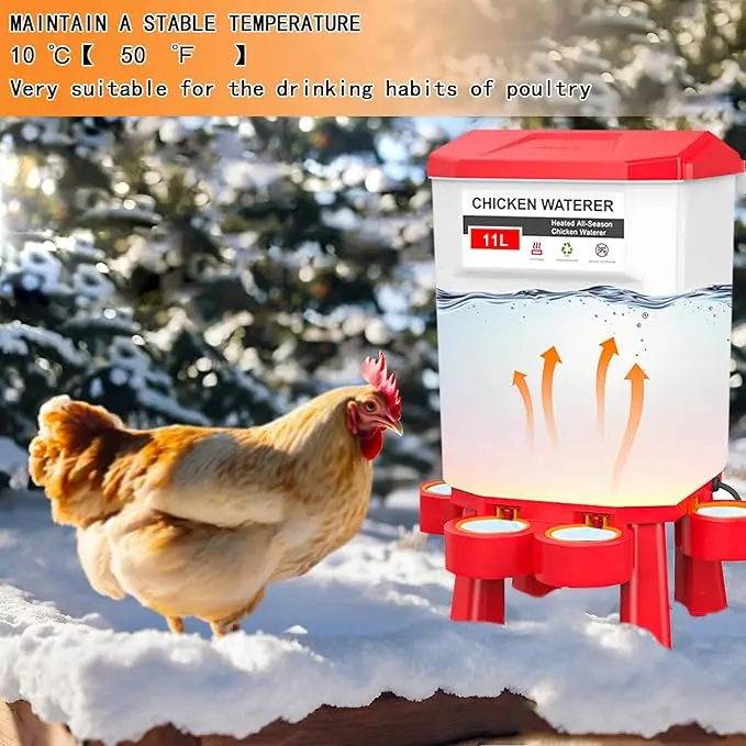 Heated wall-mounted chicken-shaped pet water dispenser, suitable for the everyday feeding of all types of poultry—wall mounting, heating function, power supply method, temperature maintenance, and anti-icing.