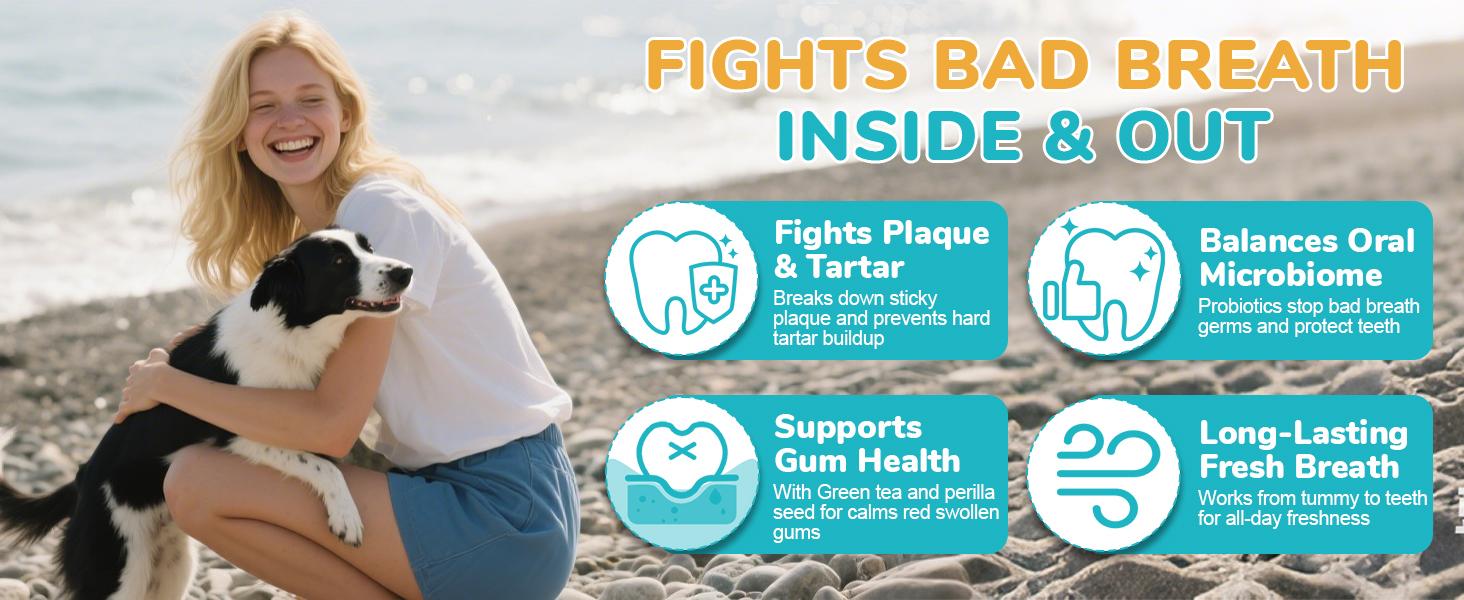 2 Pack-Large Jar 120g Dog Teeth Cleaning Powder，60 Servings Pet Dental Cleaning Powder for Dogs & Cats – Removes Tartar & Stains, Freshens Breath, Natural Oral Care Toothpaste Alternative，Plaque Tartar Remover with Postbiotic