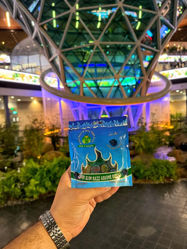 SOUR BLUE RAZZ GUSHER BURSTS GUMMY SOUR CANDY SNACK BONBON