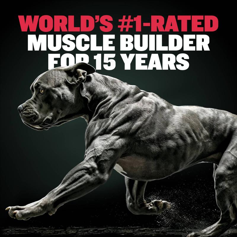Bully Max 2-in-1 Muscle Builder Chewable Tablets for Puppies & Adult Dogs - Ultimate Canine Dog Supplement for Muscle Gain