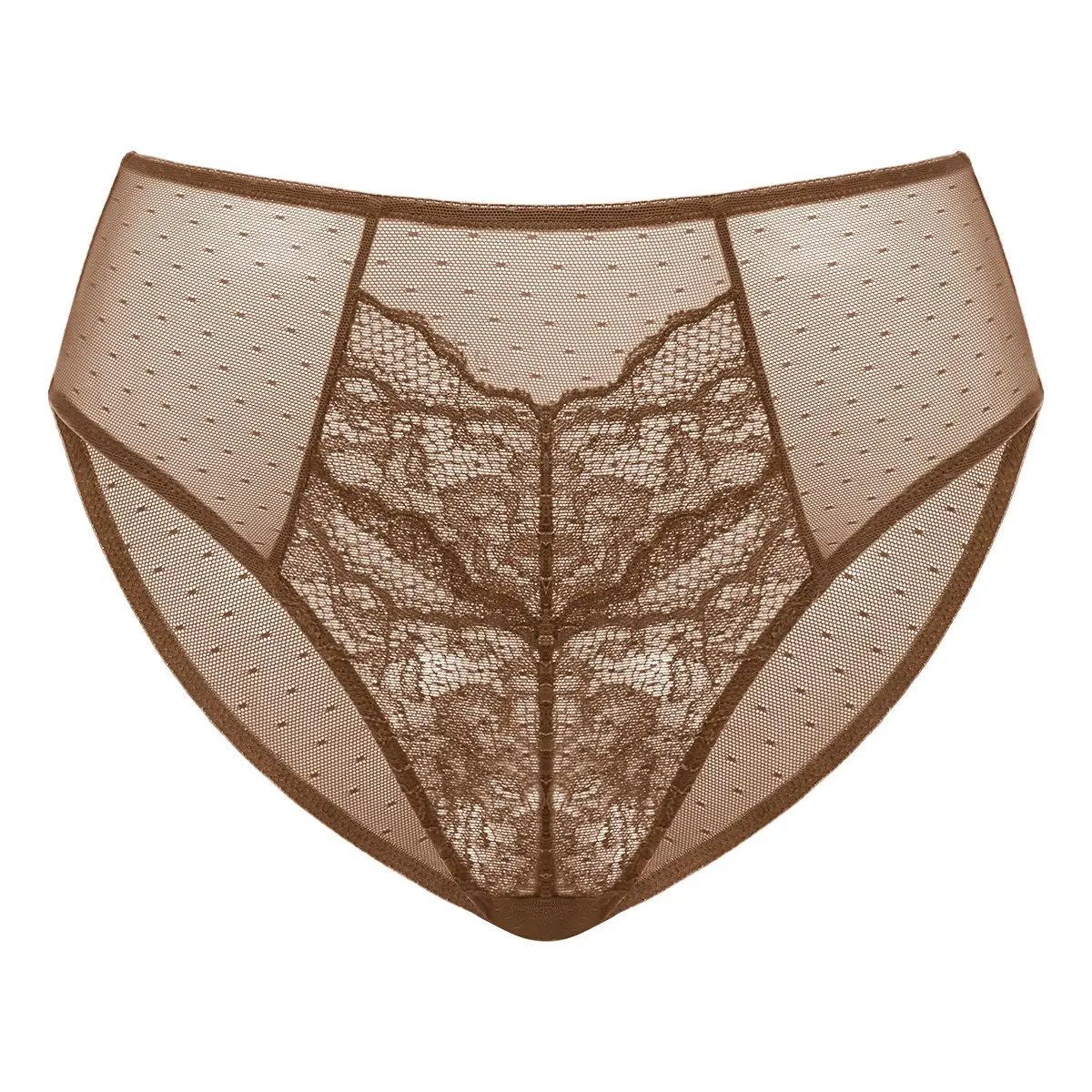 HSIA Enchante Floral Lace Sheer Mesh Back High-Rise Brief Matching Panty Underwear
