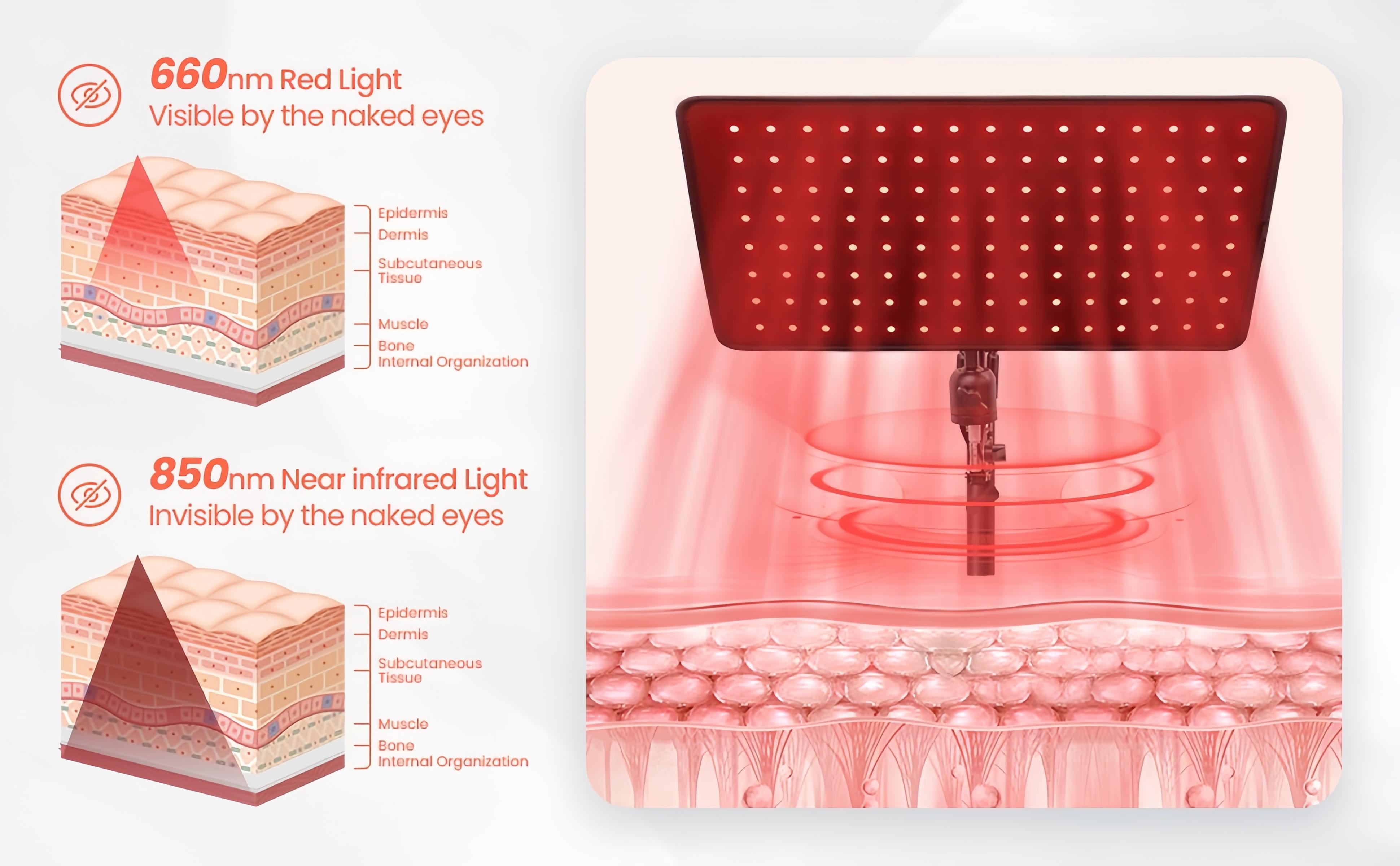 INTEO red light therapy device features a detachable panel with a stand, suitable for the face, back, and whole body. It is used for muscle recovery, fitness, relieving muscle pain and improving blood circulation, as well as improving sleep quality.