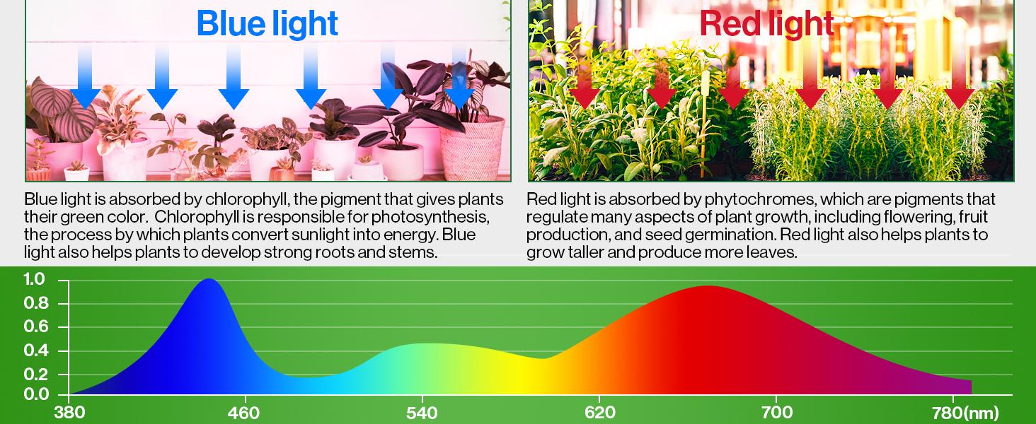SuncoGrow, LED Grow Light, 3ft, 30W Full Spectrum, Linkable