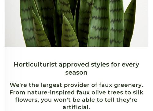 7' Artificial Olive Tree with Natural Trunk