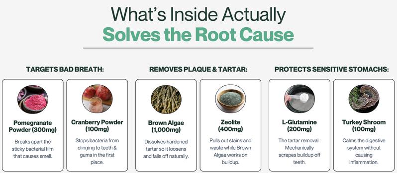 3 Pack of Dog & Cat Dental Powder - Food Topper for Fresh Breath & Clean Teeth - Gentle Formula for Sensitive Stomachs - Bacon Flavor Tartar Plaque Remover - Natural Oral Care for Dogs and Cats