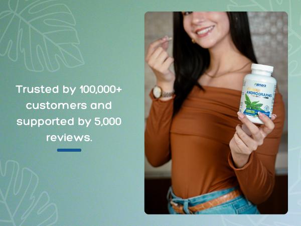 Andrographis Ancient Herb for Immune Support – 1,200mg per Serving, 120 Vegan Capsules | Palmara Health