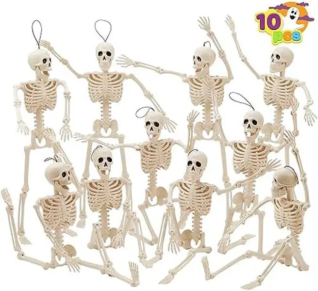Life Size Posable Skeleton Decoration Full Size Plastic Human Bones with Dog Skeleton 5.4ft Movable Joints for Haunted House Graveyard Decor 10 Pieces