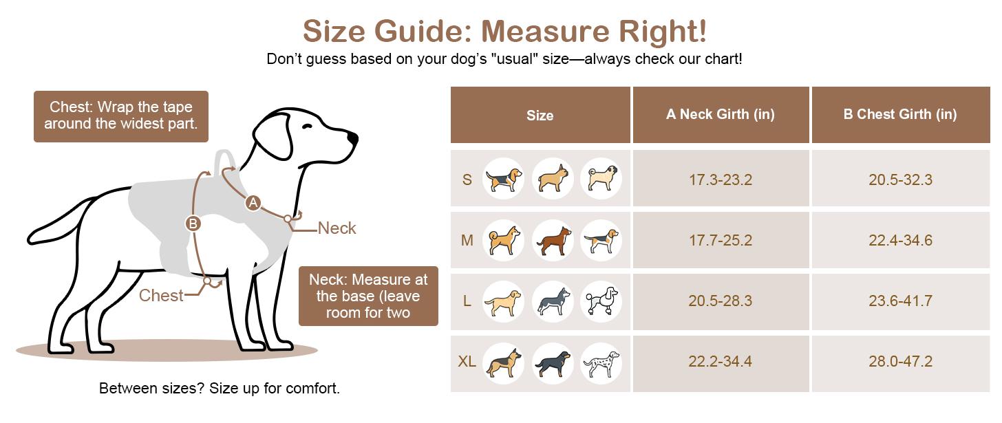 PETNANNY Tactical Dog Harness - Service Dog Harness Emotional Support Dog Vest for Medium Large Dogs, No Pull ESA Dog Vest with Hook & Loop, Working Molle Vest for Training Huntin PETNANNY Tactical Dog Harness - Service Dog Harness Emotional Support Dog Vest for Medium Large Dogs, No Pull ESA Dog Vest with Hook & Loop, Working Molle Vest for Training Huntin