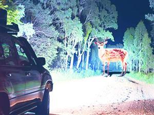 Nilight Headlight and Taillight Assembly Combo Compatible with 1999 2000 2001 2002 Chevy Silverado 1500 2500 2001 2002 Chevy Silverado 1500HD 2500HD 3500 OE Style Chrome Housing Clear Reflector Smoke