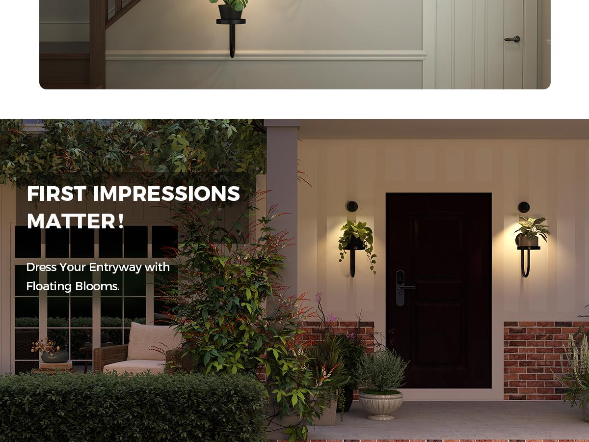 Bamworld 3pcs Wall Plant Holder Wall Planters for Indoor Plants Plant Hanger Indoor Wall Planter Window Plant Shelves Hanging Plant Holder Window Plant Hanger Plant Decor Black room decor for girls Flower Pots Garden Accessories