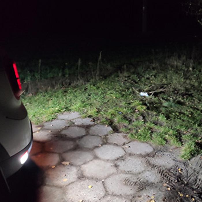 AUXITO 912 921 LED Bulbs for Backup Reverse Light Bulbs, 42-SMD 400% Brighter, 6000K White, Non-polarity 906 W16W T15 921 LED Bulb Direct Back Up Parking Light Replacement Lamp, Pack of 2 AUXITO 912 921 LED Bulbs for Backup Reverse Light Bulbs, 42-SMD 400% Brighter, 6000K White, Non-polarity 906 W16W T15 921 LED Bulb Direct Back Up Parking Light Replacement Lamp, Pack of 2