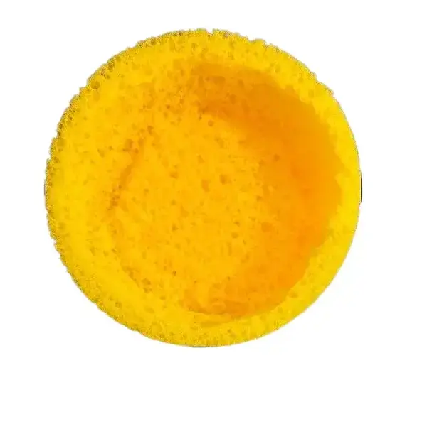 Fun Cheese Boat Sponge