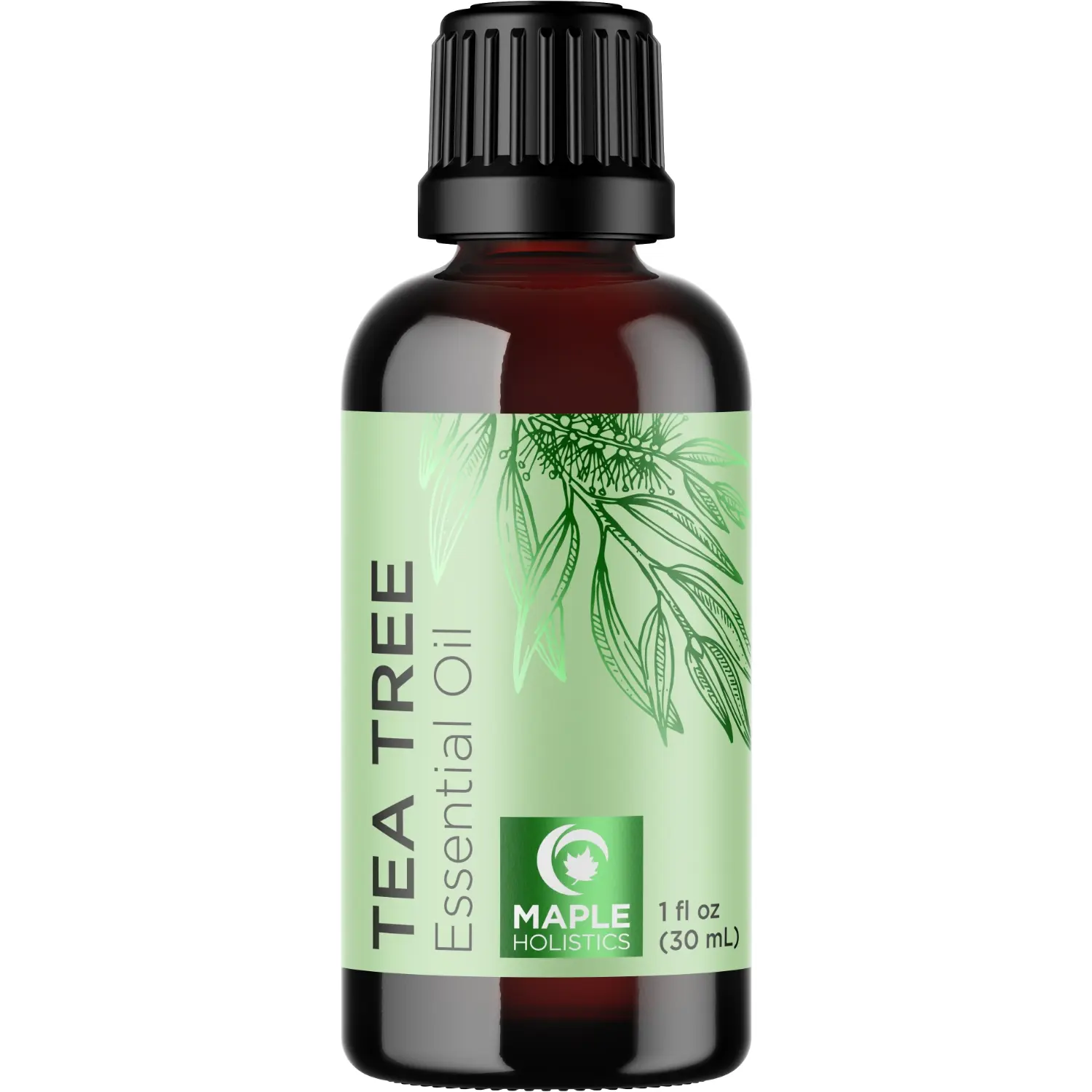 Maple Holistics Tea Tree Essential Oil for Hair, Skin, Nails and More Haircare Hydrating Moisturizer Cleansing Comfort Pure Australian Essential Oil
