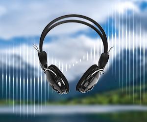 10-OFF! GoGonova Waterproof Metal Detector for Adults,  Professional Higher Accuracy Gold Detector with LCD Display, 6 Mode, Advanced DSP Chip 10" Coil, 39.3'' to 59.3" Adjustable