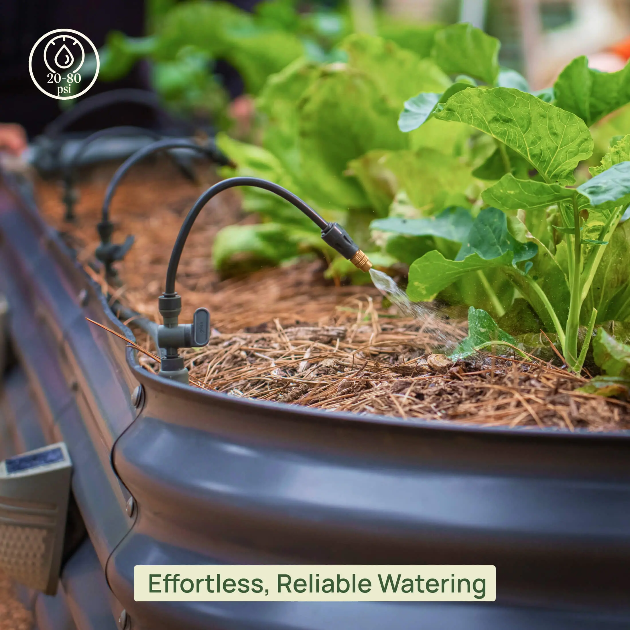 Vego Garden Built-to-Last Automatic Irrigation System Kit - Automatic Irrigation Equipment for Vego Classic Raised Beds, Snap Connectors, Mist Sprayers, Fountain Sprinklers for Versatile Watering