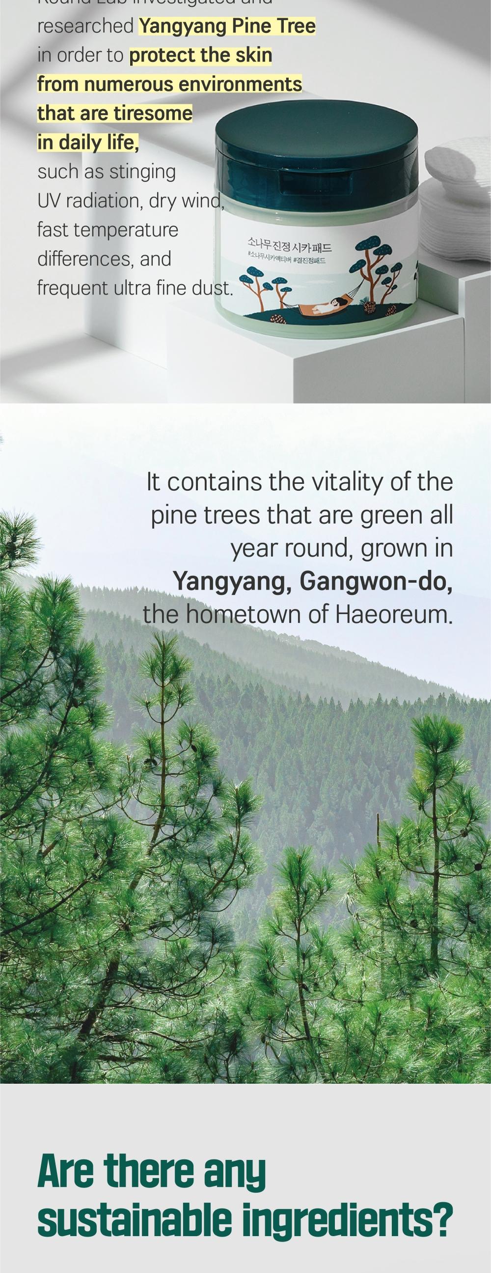 [PINE CICA LINE] Pine Calming Cica Face Pads_50pcs Large Size 7cm for Broad Coverage