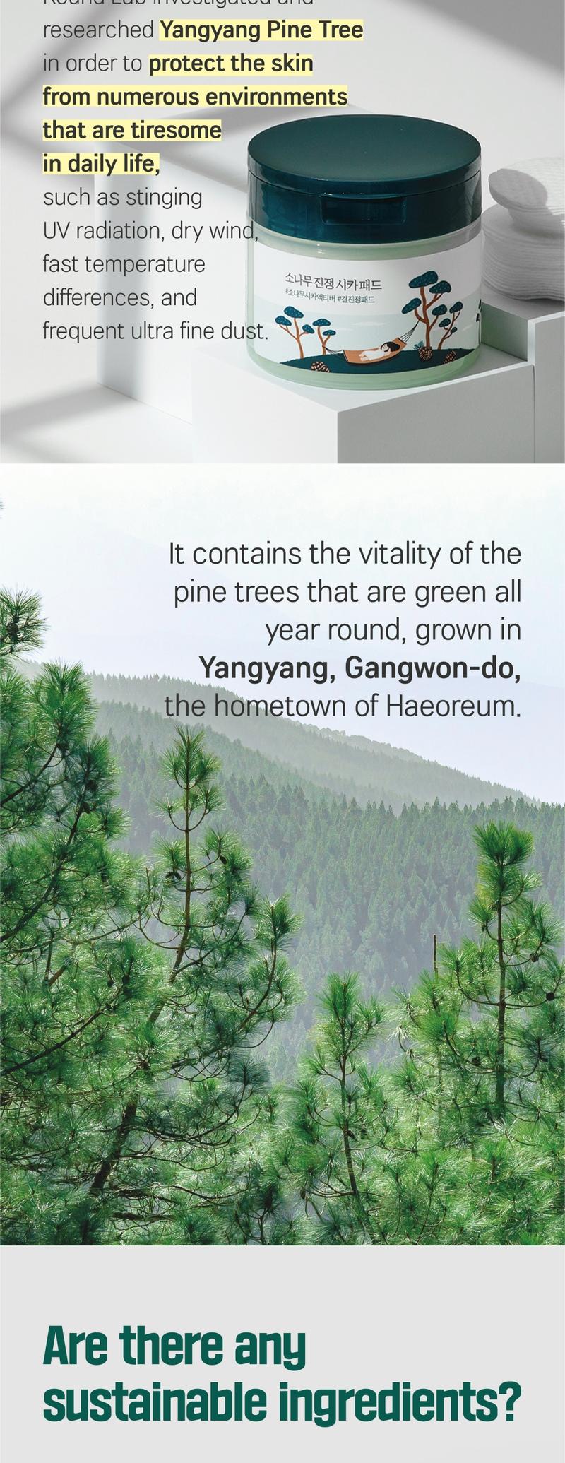 [PINE CICA LINE] Pine Calming Cica Face Pads_50pcs Large Size 7cm for Broad Coverage