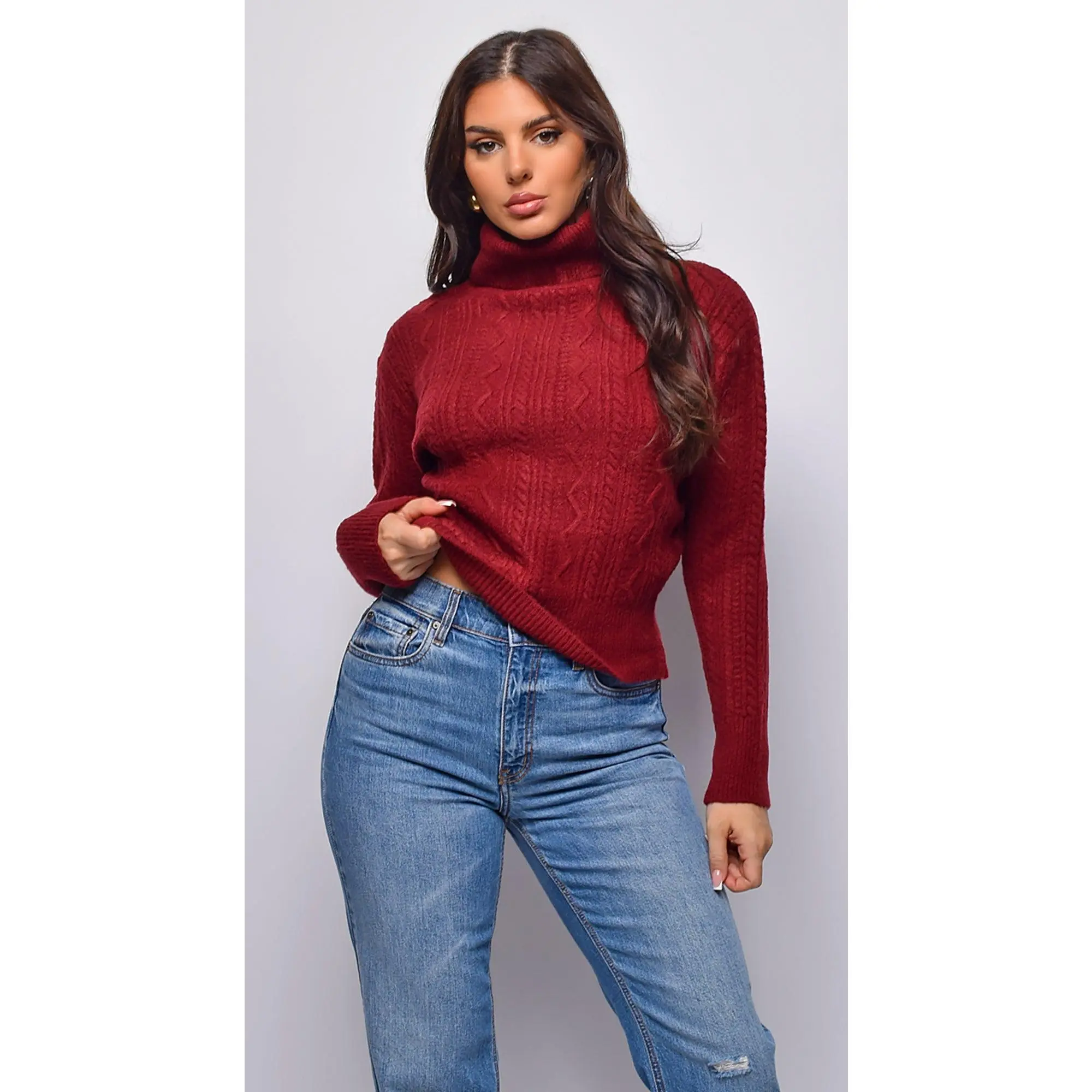 Gisella Cable Knit Turtle Neck Sweater Top - Burgundy