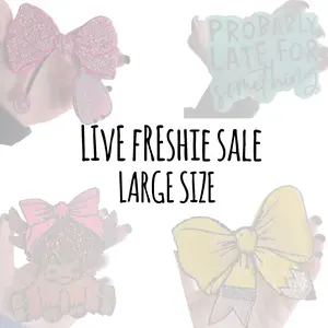 LARGE Car Freshie Sale - LIVE ONLY