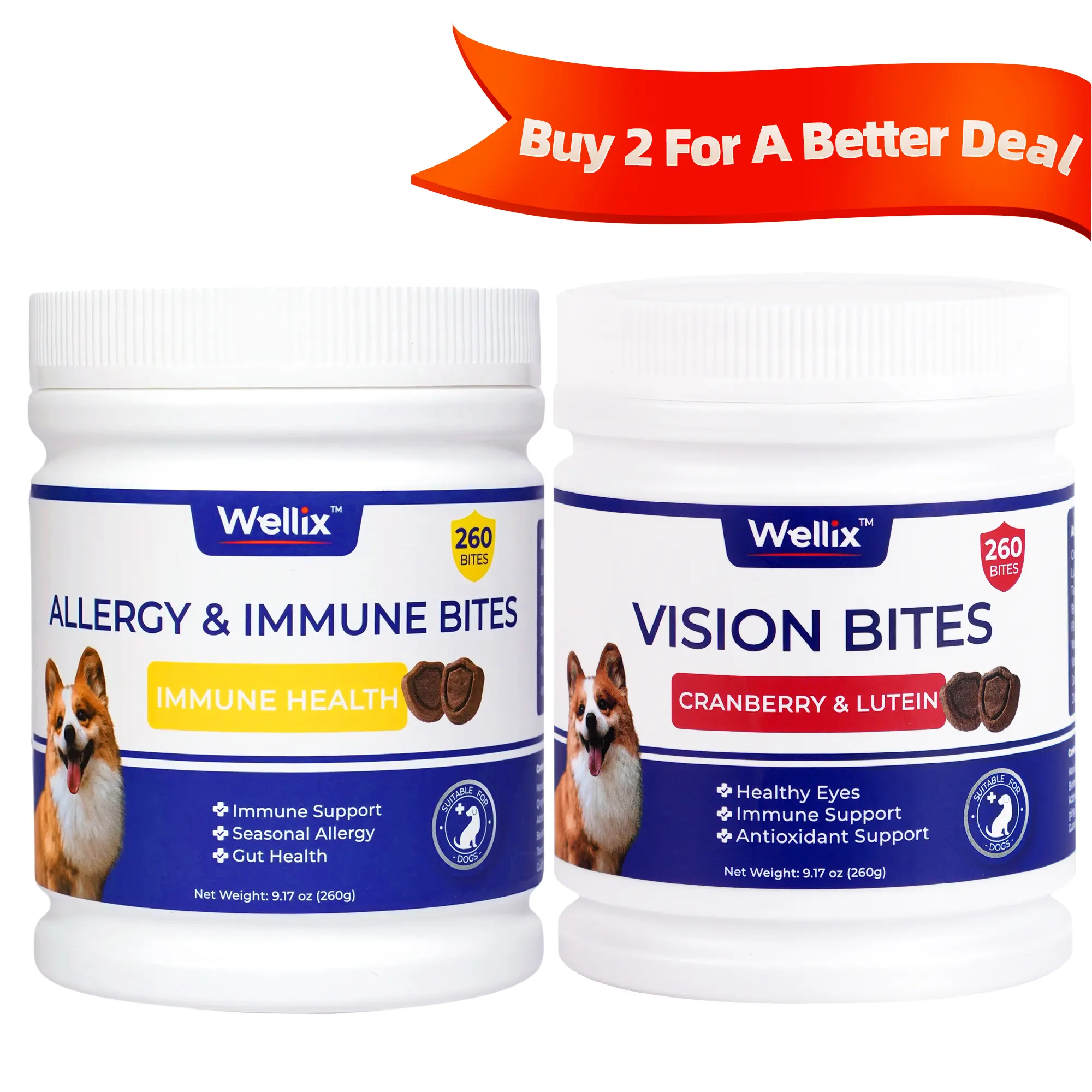 1 Allergy & Immune 1 Vision