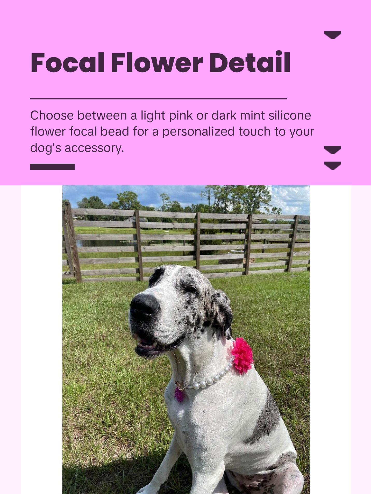 Pearl Flower Beaded Dog Collar | Durable Dog Necklace With Large Beads & Flower | Puppy Pearls | Wedding Bead Collar with free Charm