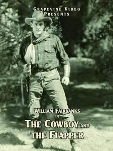 Cowboy and the Flapper  [DVD Video Disc]