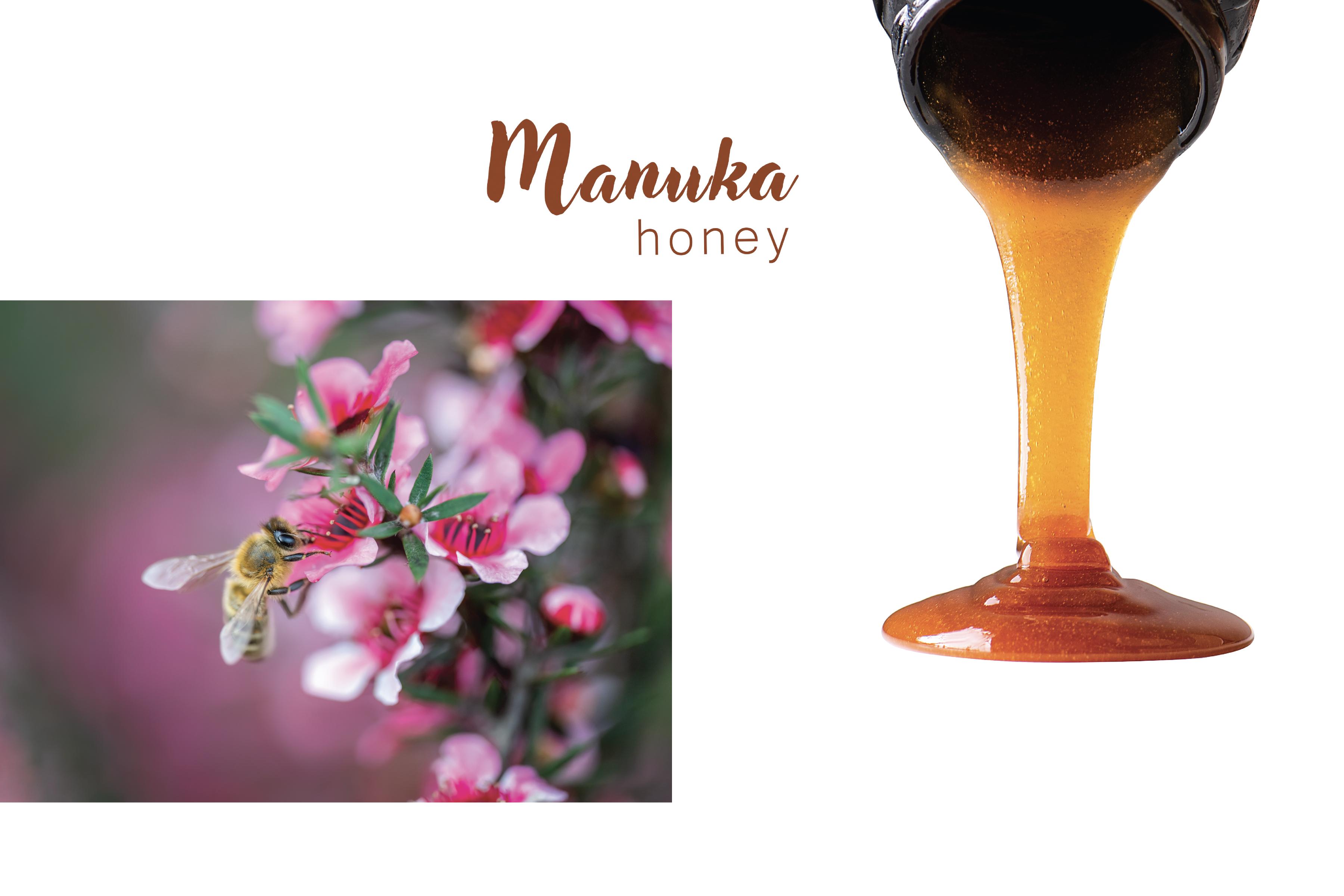 Sea Moss gel with Manuka honey and Ginger root, raw Manuka honey from New Zealand | Net WT. 16 OZ (453g) In a glass jar with a sturdy handle