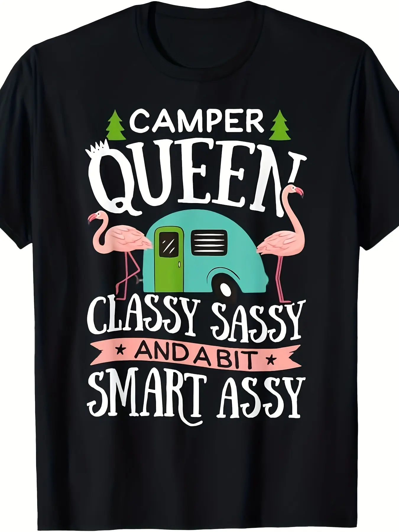 Camper Queen Classy Sassy Smart Funny Women Girls Camping RV T-Shirt 220g