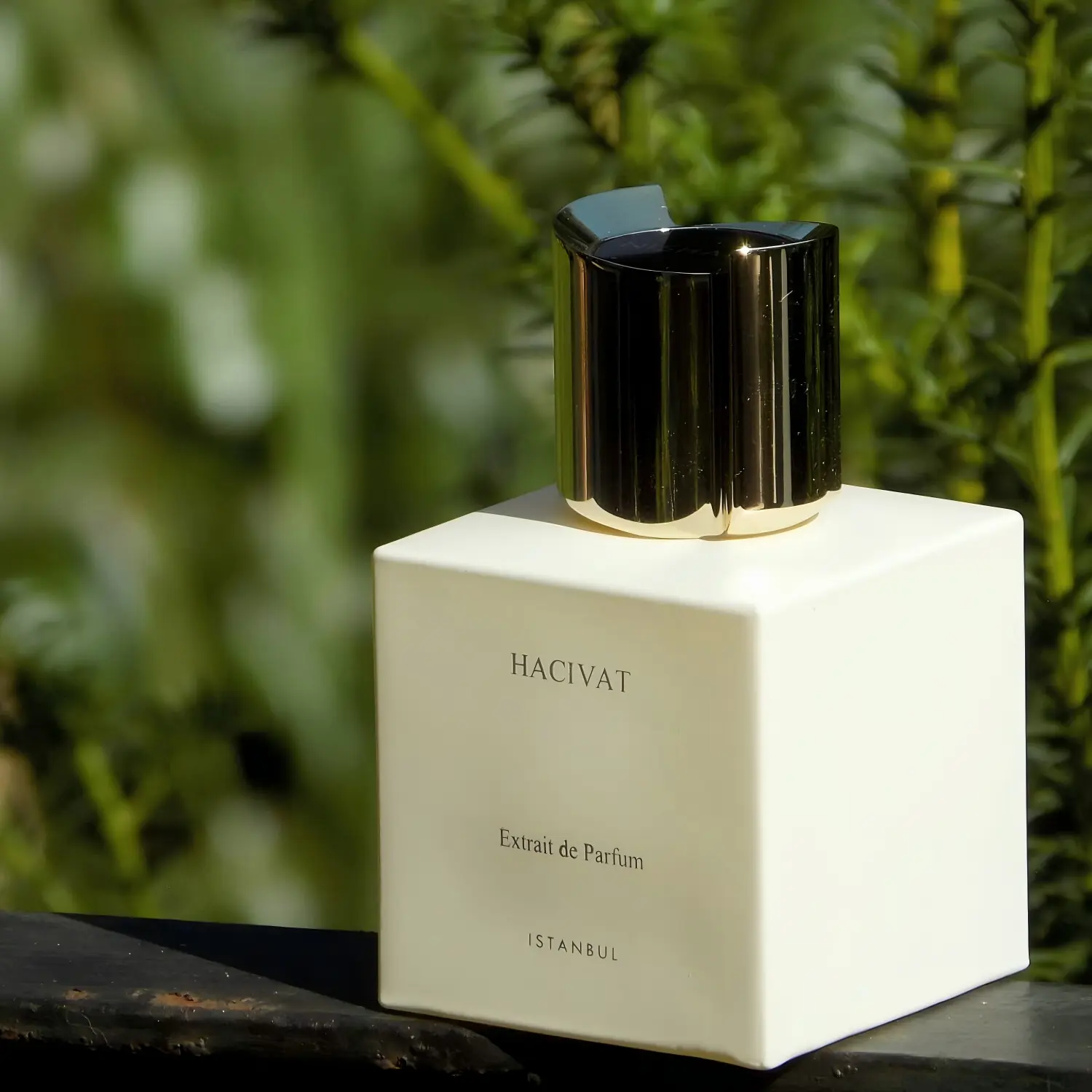 Hacivat Istanbul Perfume | For Women and Men - 100ml/3.4 fl.oz