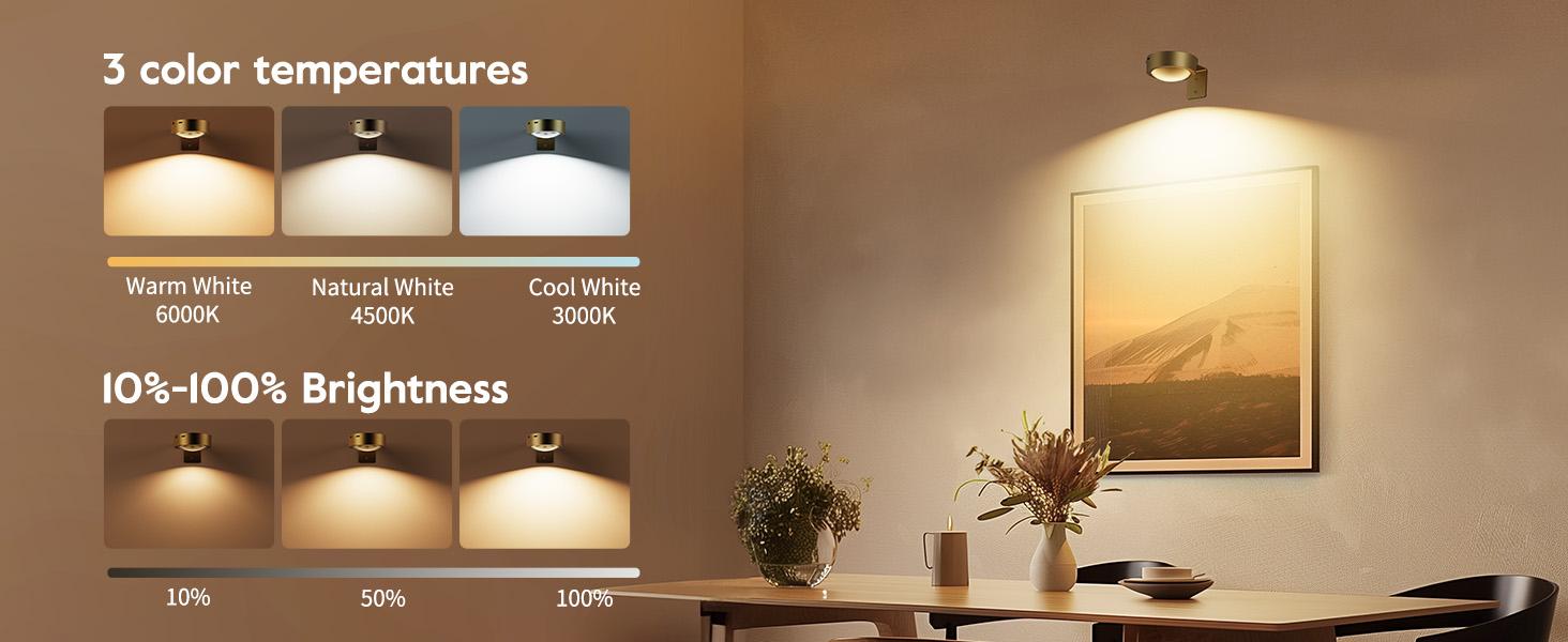 Brightown Picture Lights for Wall,Rechargeable Battery Operated Painting Light Magnetic Art Display Light with Remote, Puck Lights, Dimmable & Timer Art Lighting for Paintings Wireless,Gold, Christmas Gifts Ideas