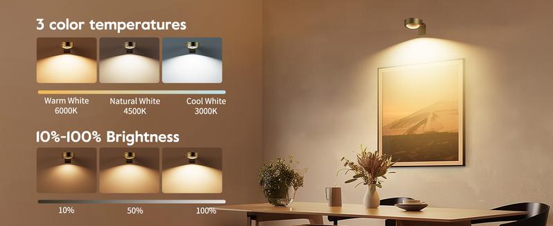 Brightown Picture Lights for Wall,Rechargeable Battery Operated Painting Light Magnetic Art Display Light with Remote, Puck Lights, Dimmable & Timer Art Lighting for Paintings Wireless,Gold, Christmas Gifts Ideas