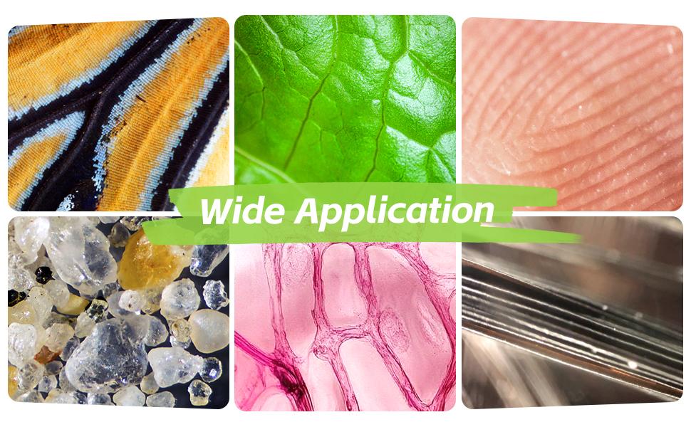 RIVGOT 4K Kids Digital Microscope, 2.0" Screen, 1000X Zoom, Rechargeable Portable Mini HD Microscope for Outdoor Exploration, Science & STEM Education, Ages 3+ RIVGOT 4K Kids Digital Microscope, 2.0" Screen, 1000X Zoom, Rechargeable Portable Mini HD Microscope for Outdoor Exploration, Science & STEM Education, Ages 3+