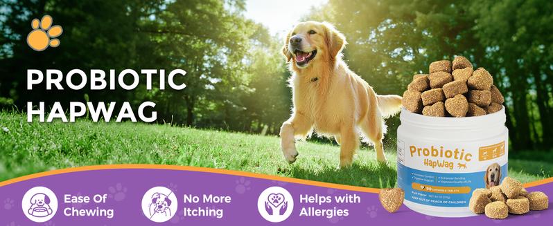 HAPWAG 8-in-1 Probiotics for Dogs – Gut Health, Digestive & Immune Support – Premium-Quality Ingredients – Pork Flavor – 90 Chewable Treats