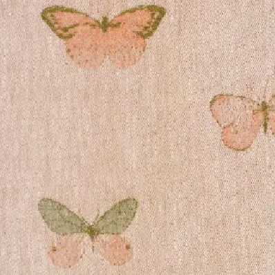 Flutter - Aerial Carrier