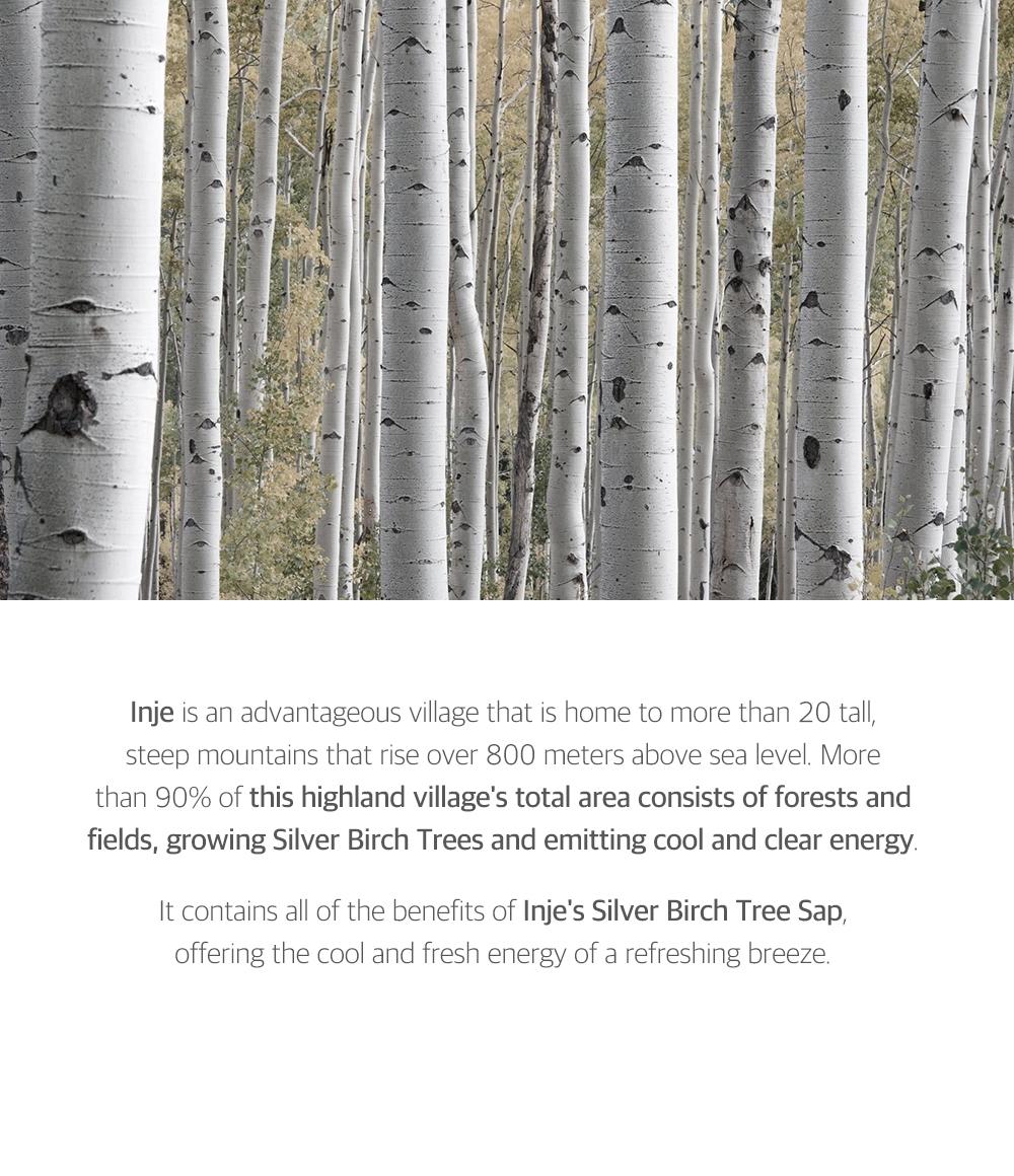 [ROUND LAB OFFICIAL] Birch Juice Moisturizing Mask 25ml*10ea