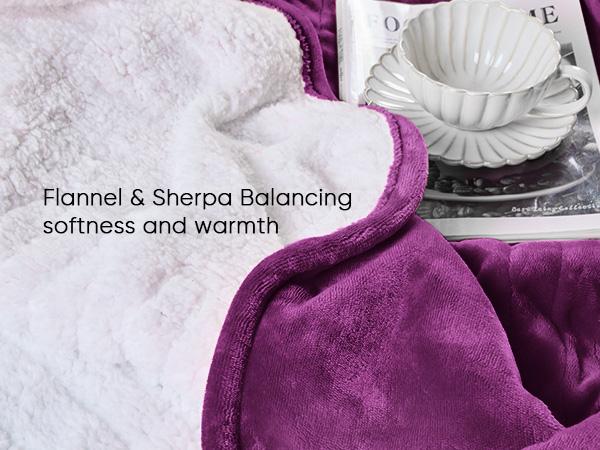 Greenoak Heated Blanket Electric Throw 50"X60", Heating Blanket with 10 Heat Levels 8 Hours Auto-Off,Fleece Soft Christmas Blanket,Gifts for Grandma Seniors Mom