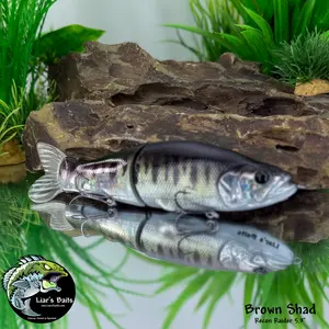 Recon Raider 5.3" - Glidebait