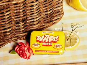 Honey Lemon Ginger Mints - 1 Tin
