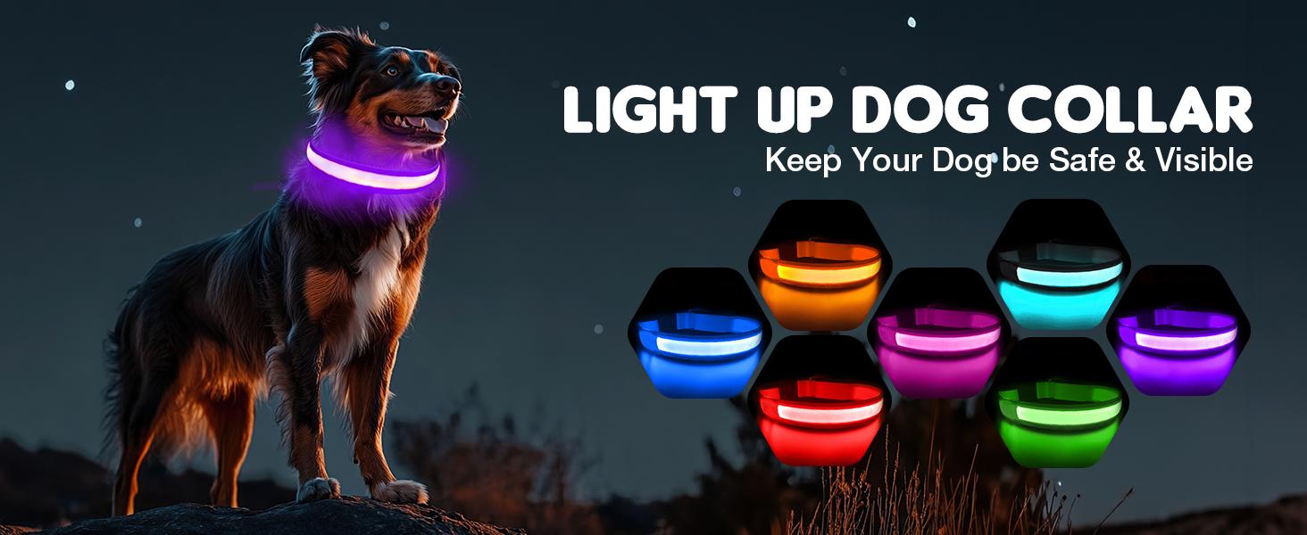 Light-Up Dog Collar,Rechargeable LED Dog Collar ,Durable and Waterproof Adjustable,for Night Walking, Glowing Dog Collar for Enhanced Visibility & Safety, Gift for Pets, Dog Accessories