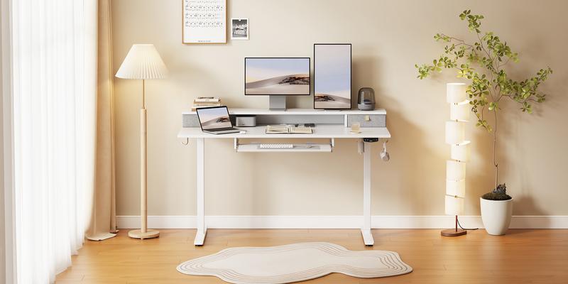 Agilestic Electric Standing Desk with Keyboard Tray and Drawers, Adjustable Height Stand Up Desk for Home Office, 4 Memory Height Settings, 2 Headphone Hooks, Computer Workstation, Black
