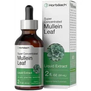 Horbäach Mullein Leaf Extract Drops | 2 fl oz | Alcohol Free Liquid Tincture | Vegetarian, Non-GMO & Gluten Free Herbal Supplement