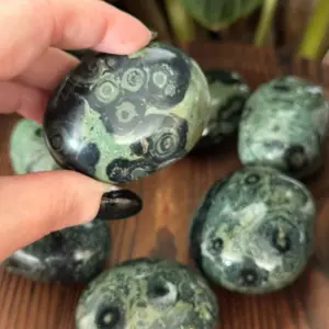 Kambaba Jasper Palms - Natural Healing Stones for Home Decor & Meditation