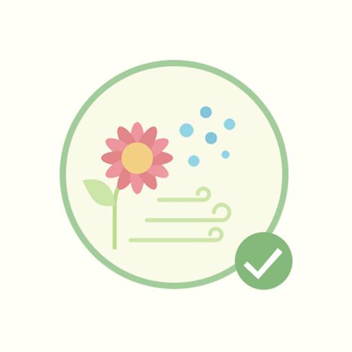 Peperomia Hope 'Peperomia tetraphylla'