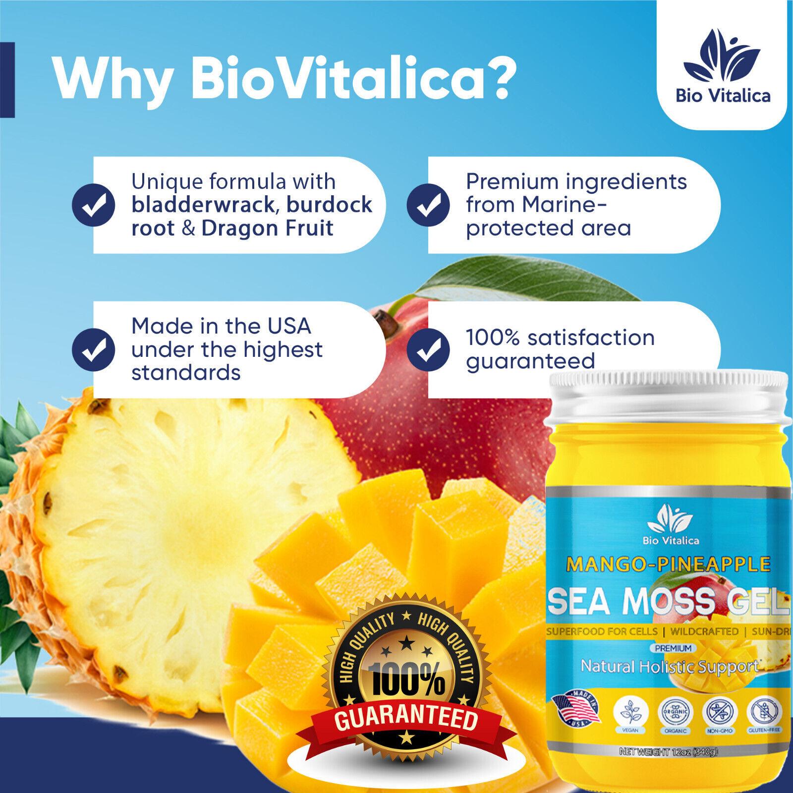 Sea Moss Gel - Irish sea Moss raw Mango Pineapple Flavor Fitness Supplement