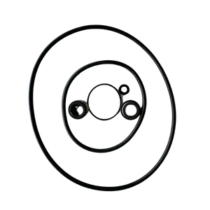 Seal and Gasket Replacement Kit - ABG Pumps