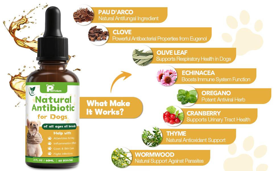 Dogs & Cats Natural Support Drops - Aids Respiratory Comfort, Urinary Health, Skin Relief & Digestion | Suitable for All Breeds & Ages | 2 Oz Dogs & Cats Natural Support Drops - Aids Respiratory Comfort, Urinary Health, Skin Relief & Digestion | Suitable for All Breeds & Ages | 2 Oz