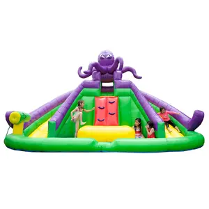 Octopus Backyard Water Park with Dual Lane Slide
