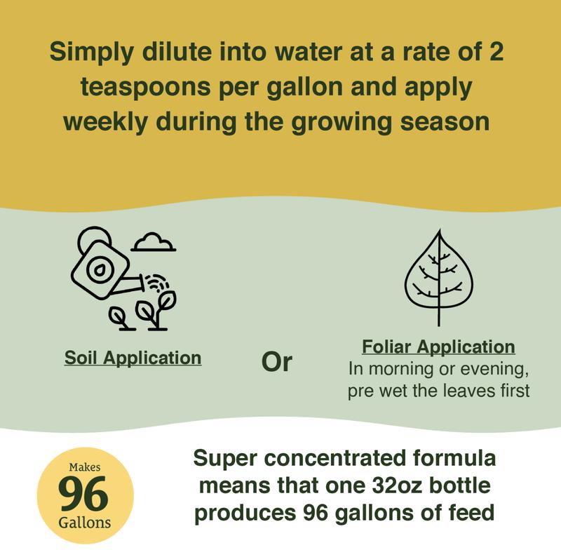 Farmer's Secret Tomato Booster Fertilizer - Super Concentrated - 3:8:7 Ratio Fortified with Humic Acid, Iron and Calcium - Grow More Tomatoes