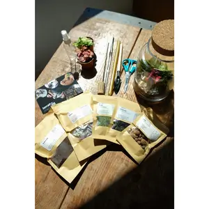 DIY Kit Self-Sustaining Ecosystem